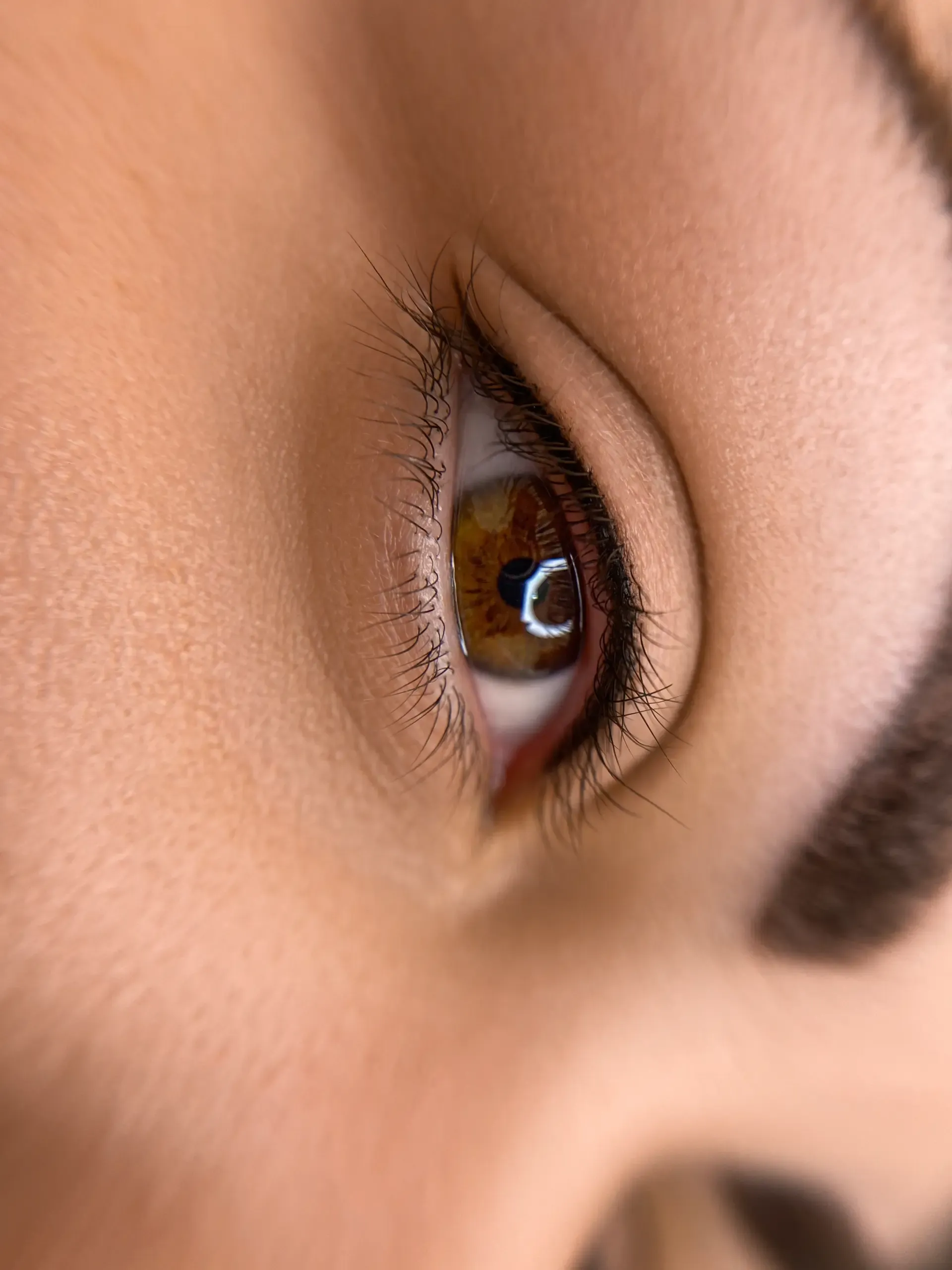 IMG 0899 scaled 5a09c734 Eyelashes & Eyebrows