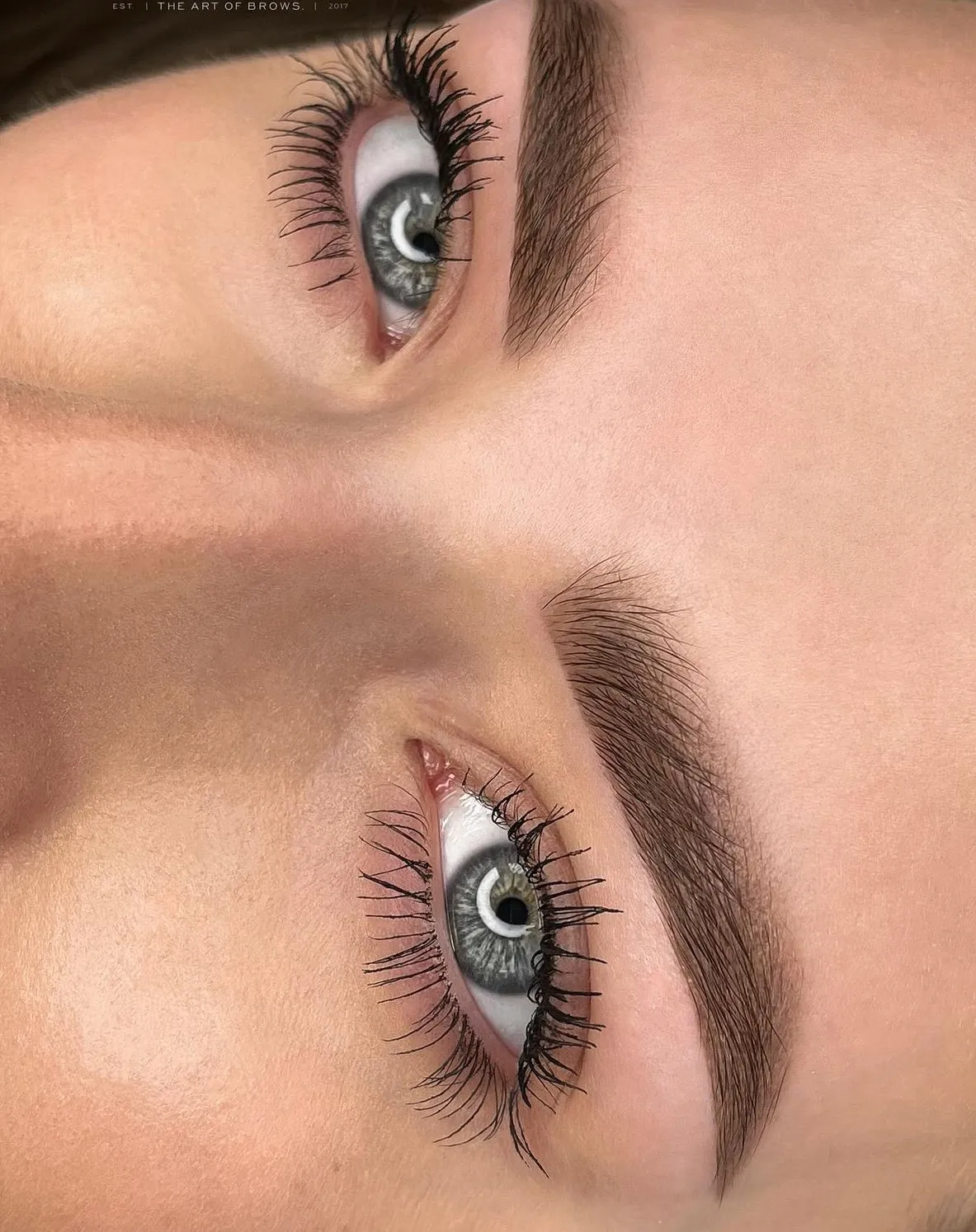 IMG 4178 5d3c0aec Permanent Makeup