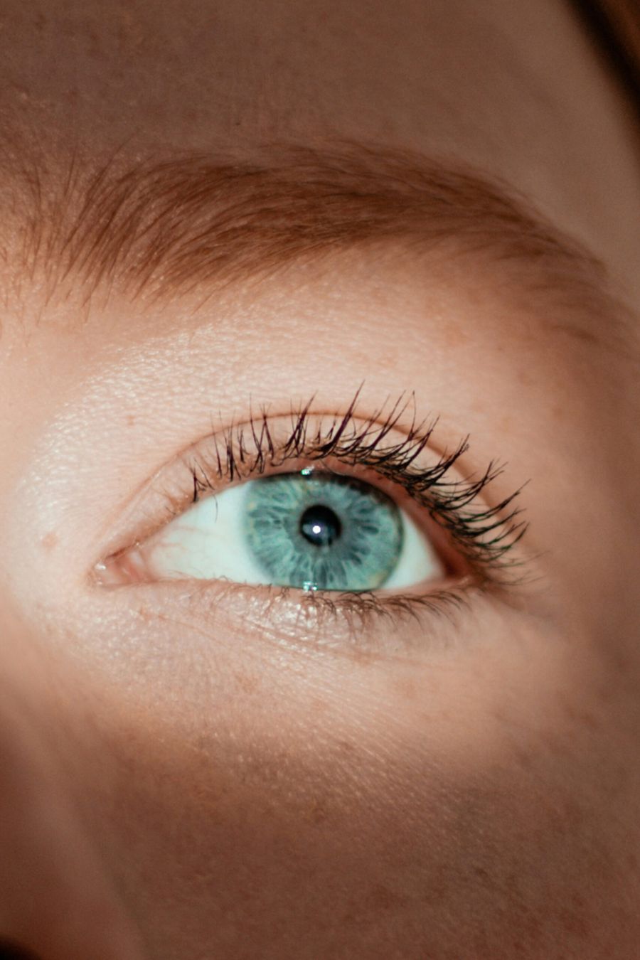 Eyelashes & Eyebrows 21 photo 1613057388812 029549dc3d39 scaled d48dfbad Eyelashes & Eyebrows